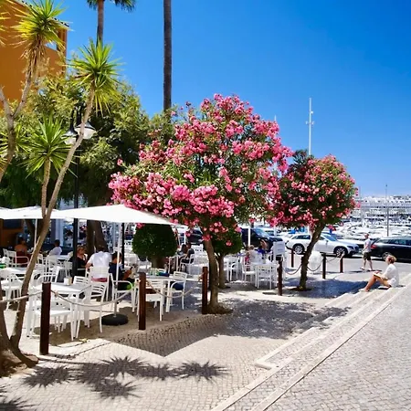 Apartment Penthouse Escape With Large Terrace, Pool & Garden Quarteira